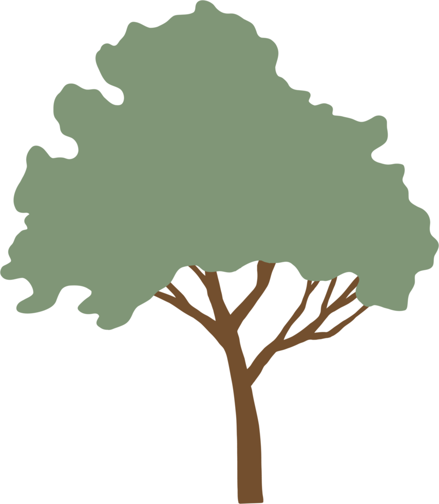 simplicity tree freehand drawing flat design. png