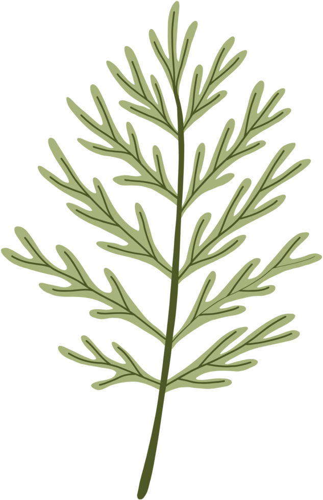 simplicity floral freehand drawing. png