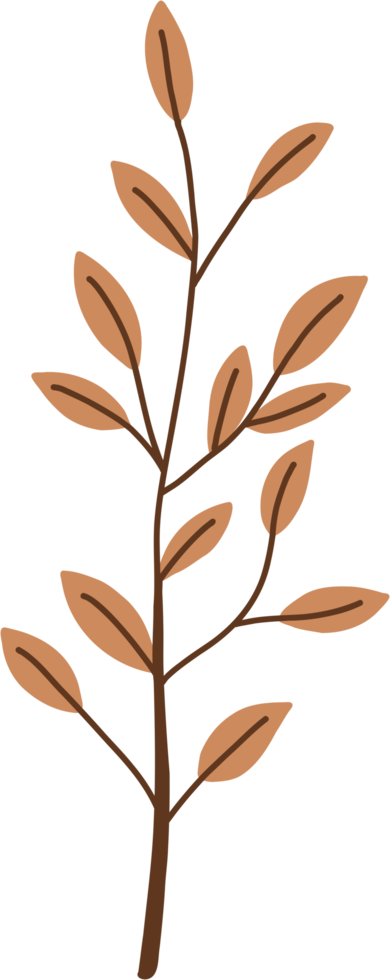 simplicity floral freehand drawing. png