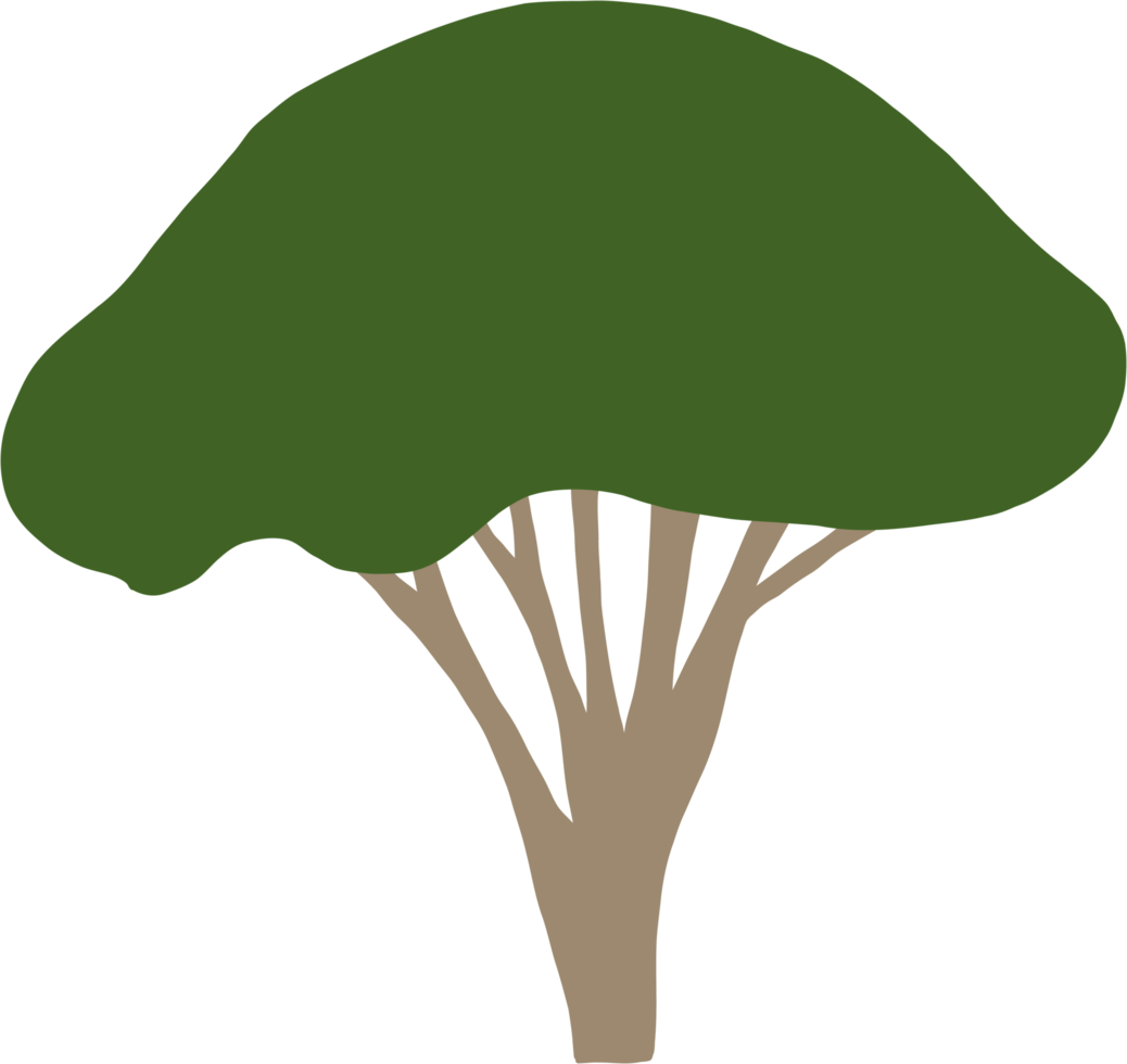 simplicity tree freehand drawing flat design. png