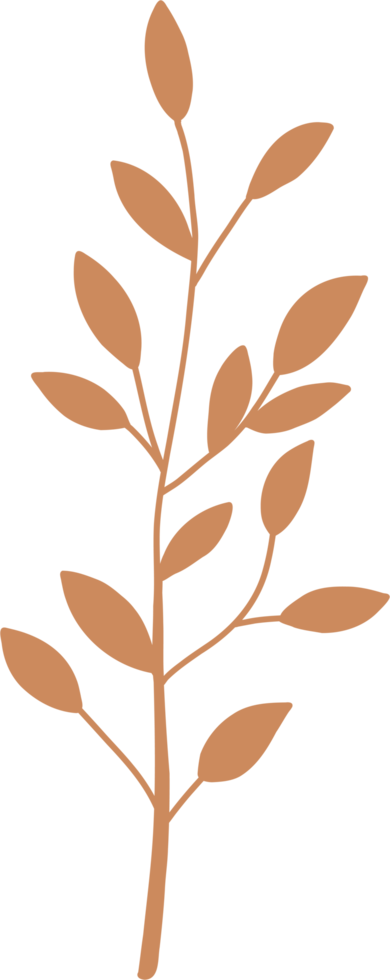 simplicity floral freehand drawing. png