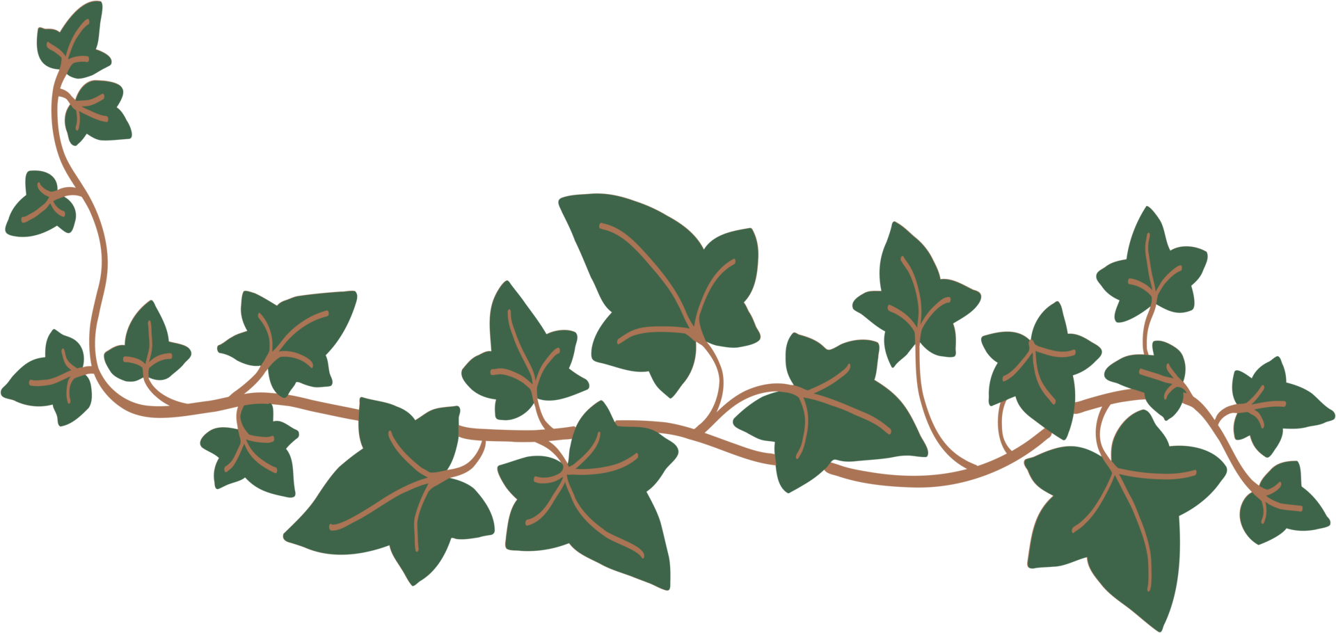 Simplicity ivy freehand drawing png