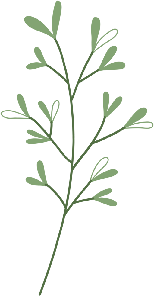 simplicity floral freehand drawing. png