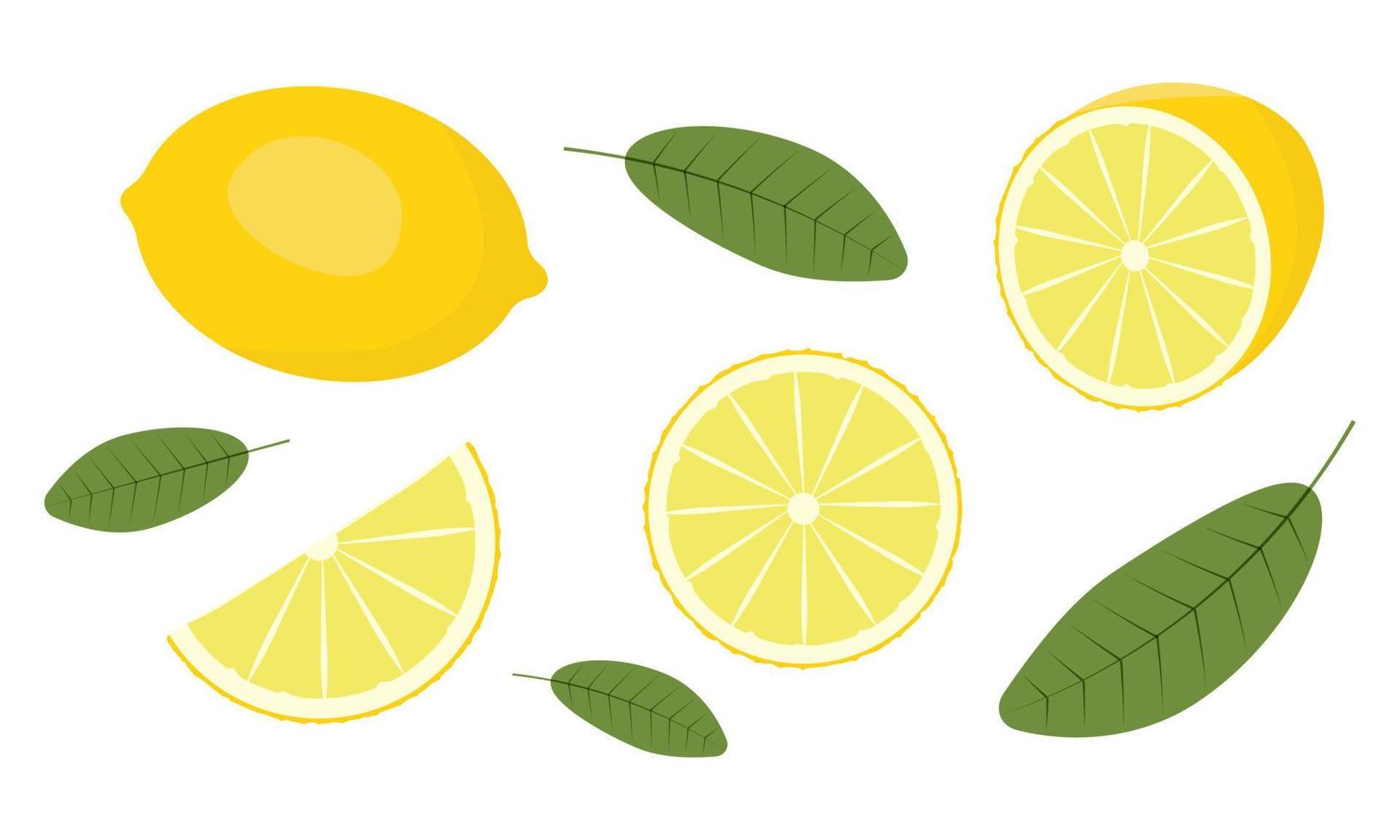 Fresh lemon fruits, collection of vector illustrations