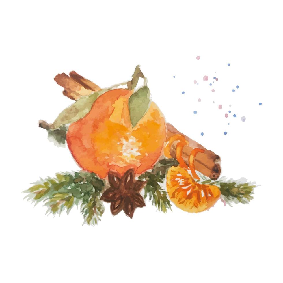 Watercolor Christmas card with fir branches, and tangerines vector