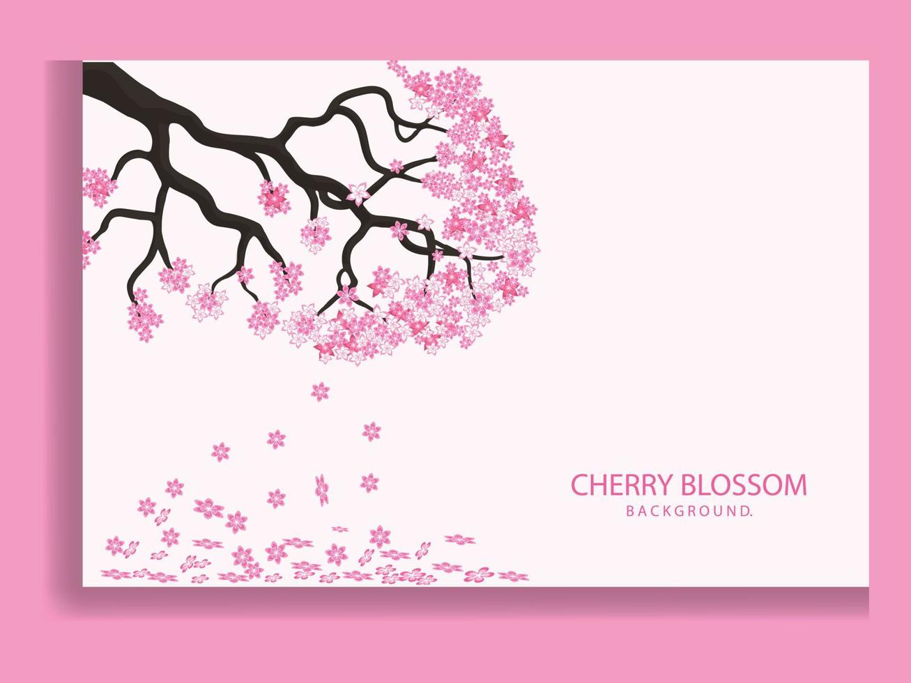 Sakura blossom branch. Falling petals, flowers. Isolated flying realistic japanese pink cherry or apricot floral elements fall down vector background. Cherry blossom branch, flower petal illustration