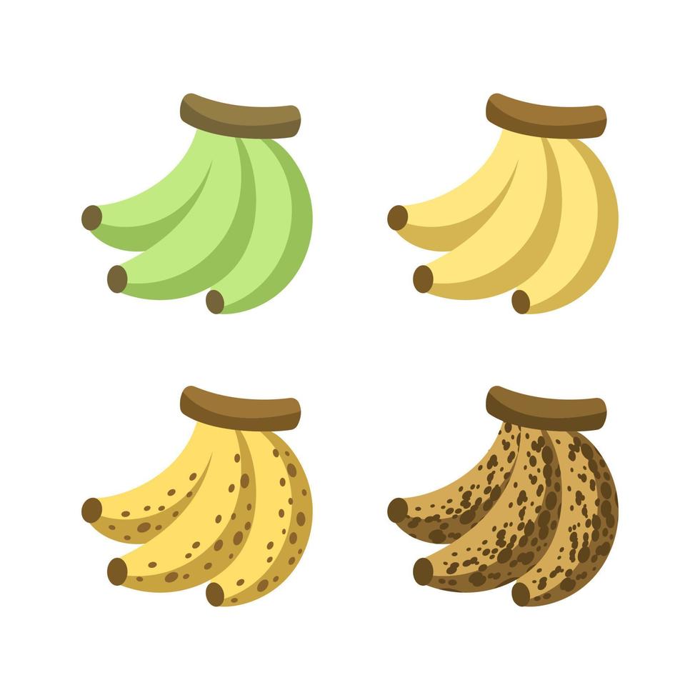 Ripening stages of bananas icon set. Banana ripeness color unripe to overripe. Fruit infographic clipart element vector illustration.