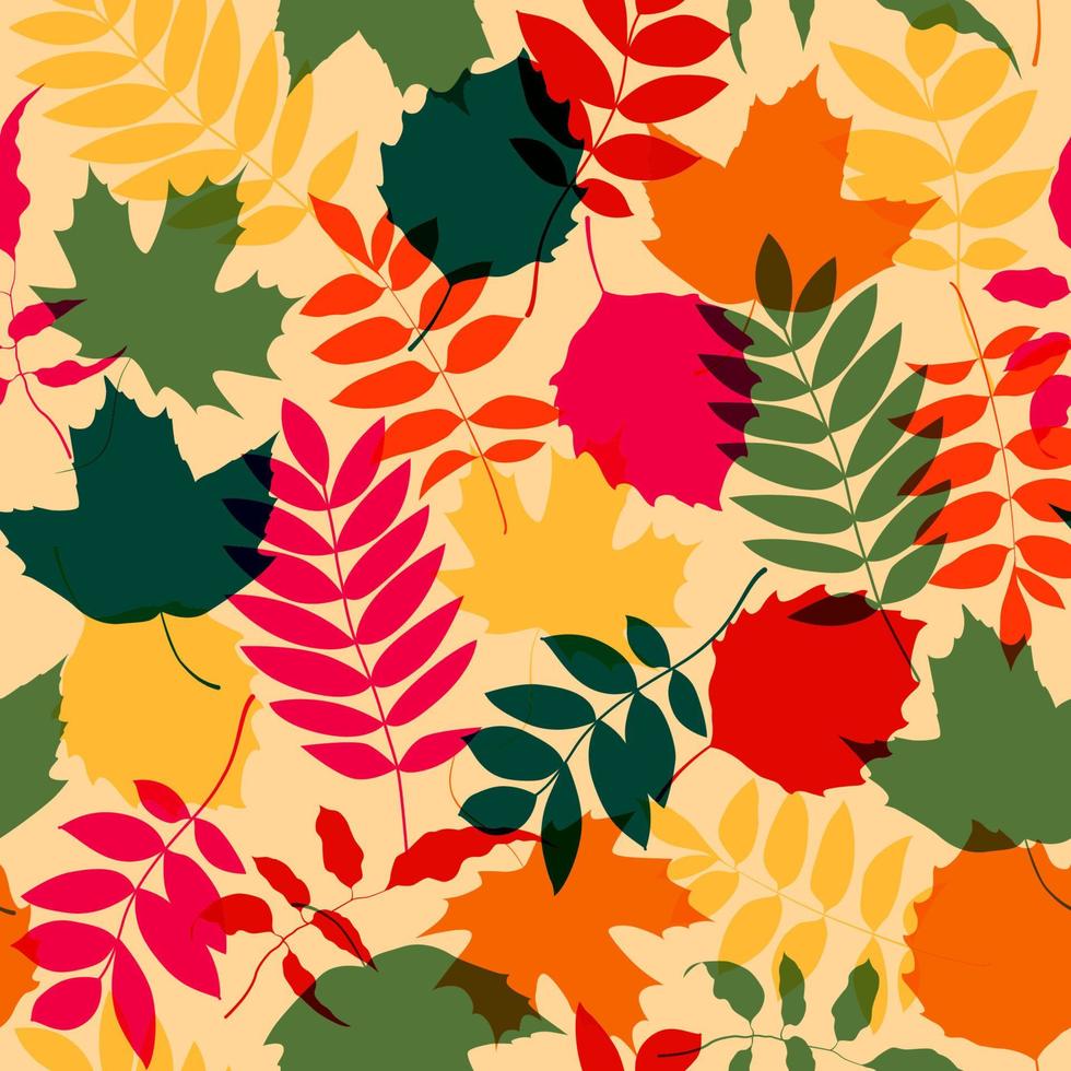 fondo transparente de hojas de otoño. ilustración vectorial colorida con efecto multiplicador vector
