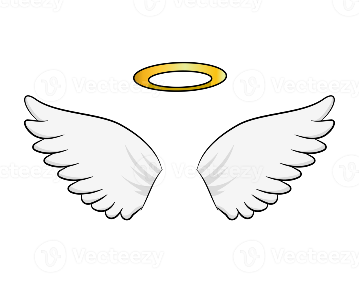 Angel Wings and Halo png