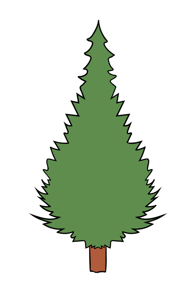 Trees Forest Nature png