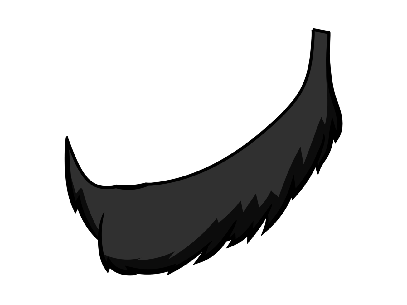 Black Beard Men png