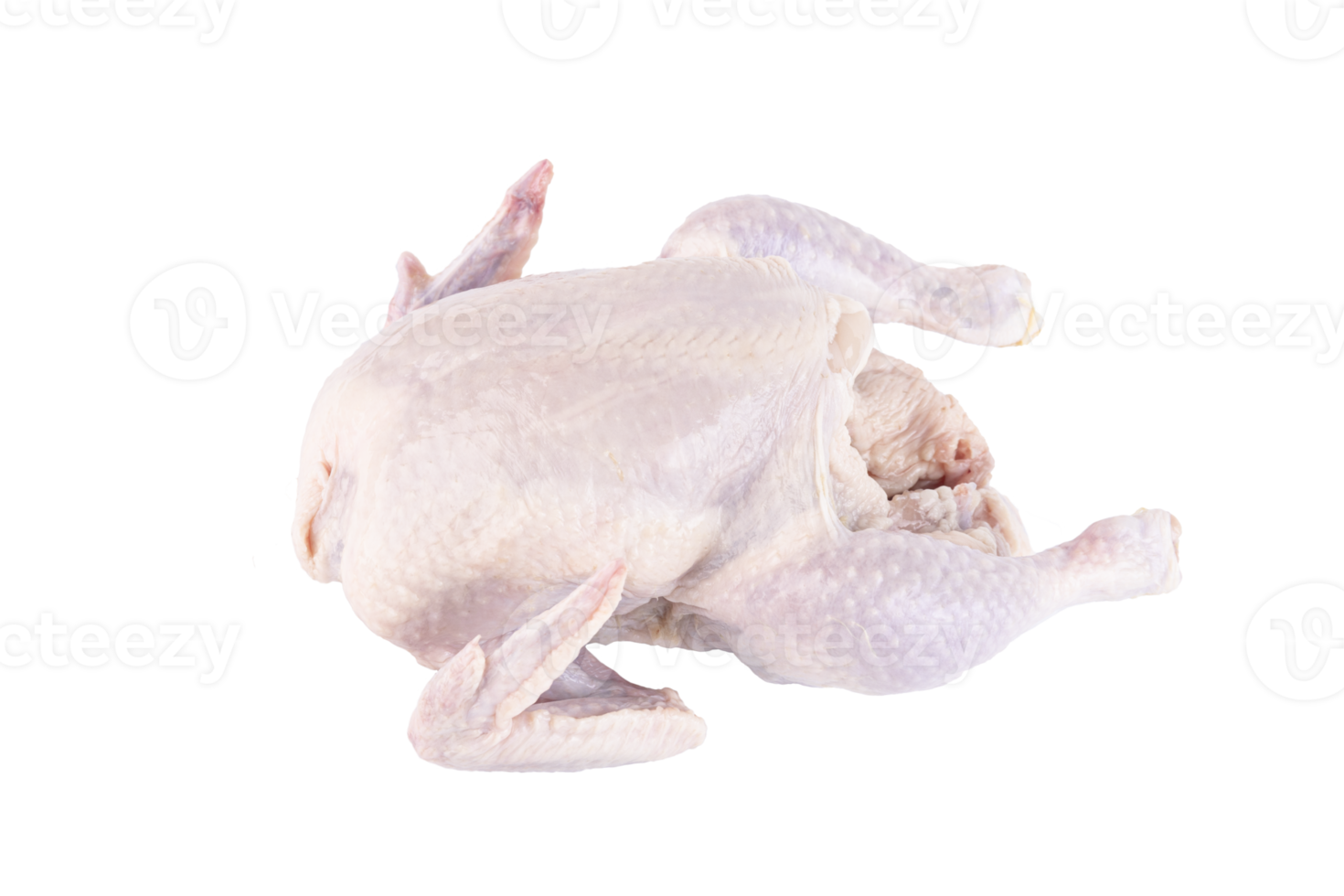 Raw chicken carcass. Transparent background. PNG