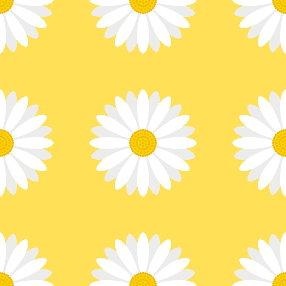White daisy flowers seamless pattern isolated on yellow background. vector