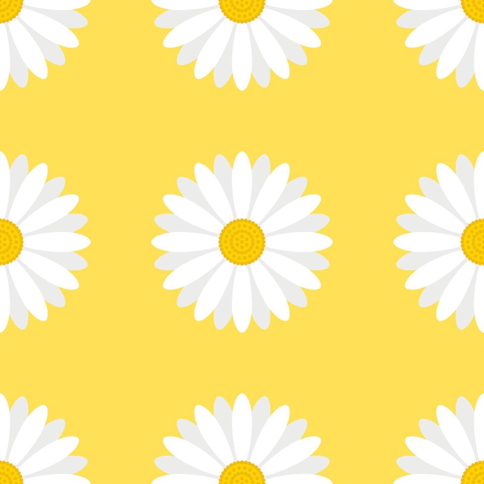 Margarita blanca flores patrón sin fisuras aislado sobre fondo amarillo. vector