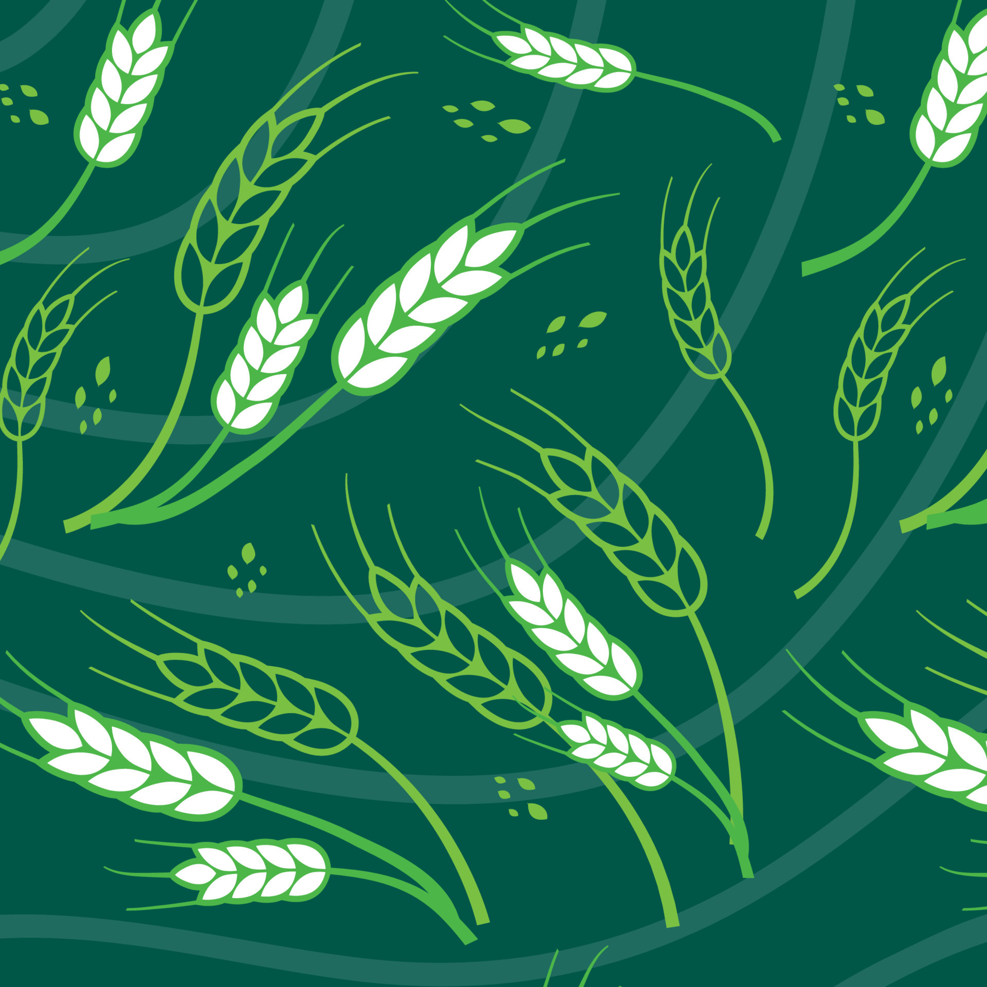 seamless-wheat-pattern-vector-background-nature-wallpaper-wheat-patern