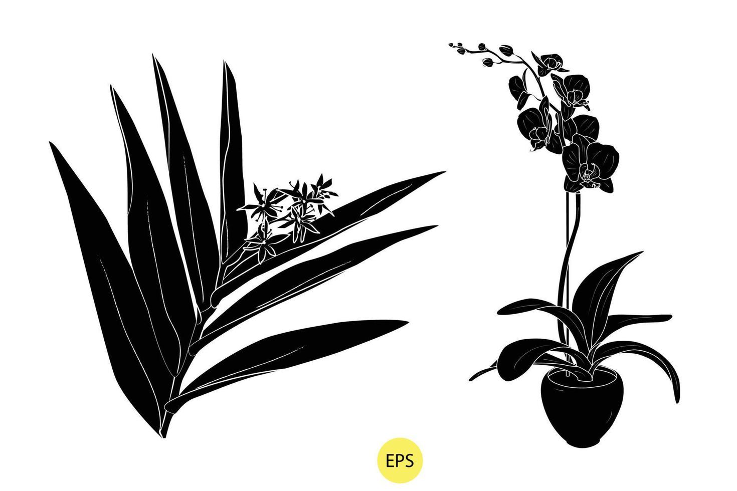 ilustración vectorial de lirio de valle, conjunto de siluetas decorativas negras de lirio de valle, siluetas negras vectoriales de flores aisladas en un fondo blanco. vector