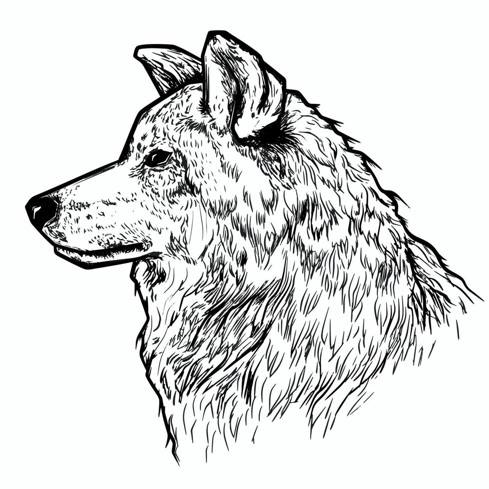 ilustración de lobo en estilo pluma vector