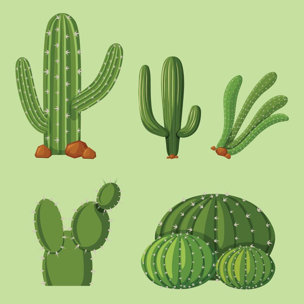 cactus logo vector illustration template