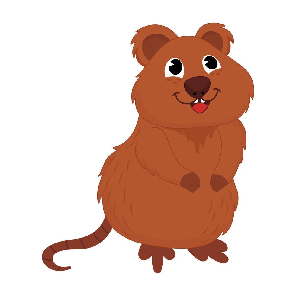 ilustración animal de quokka vector