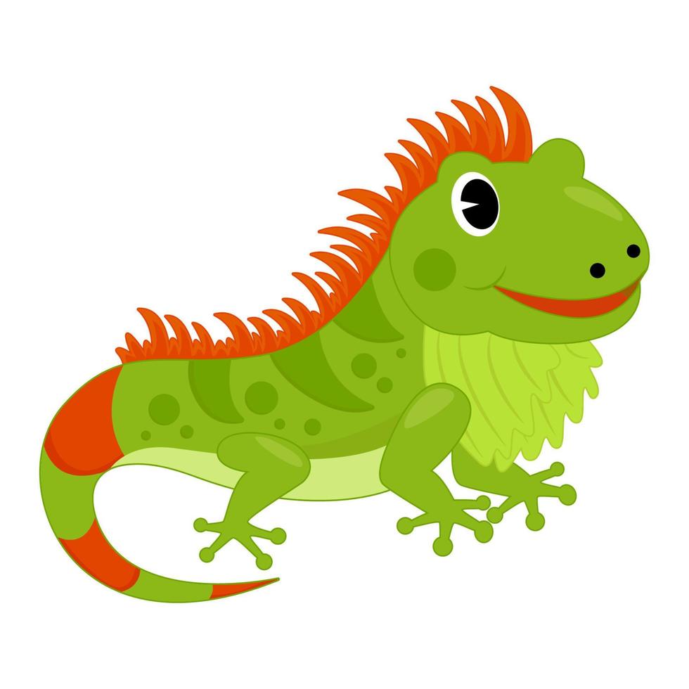 Animal illustration of iguana vector