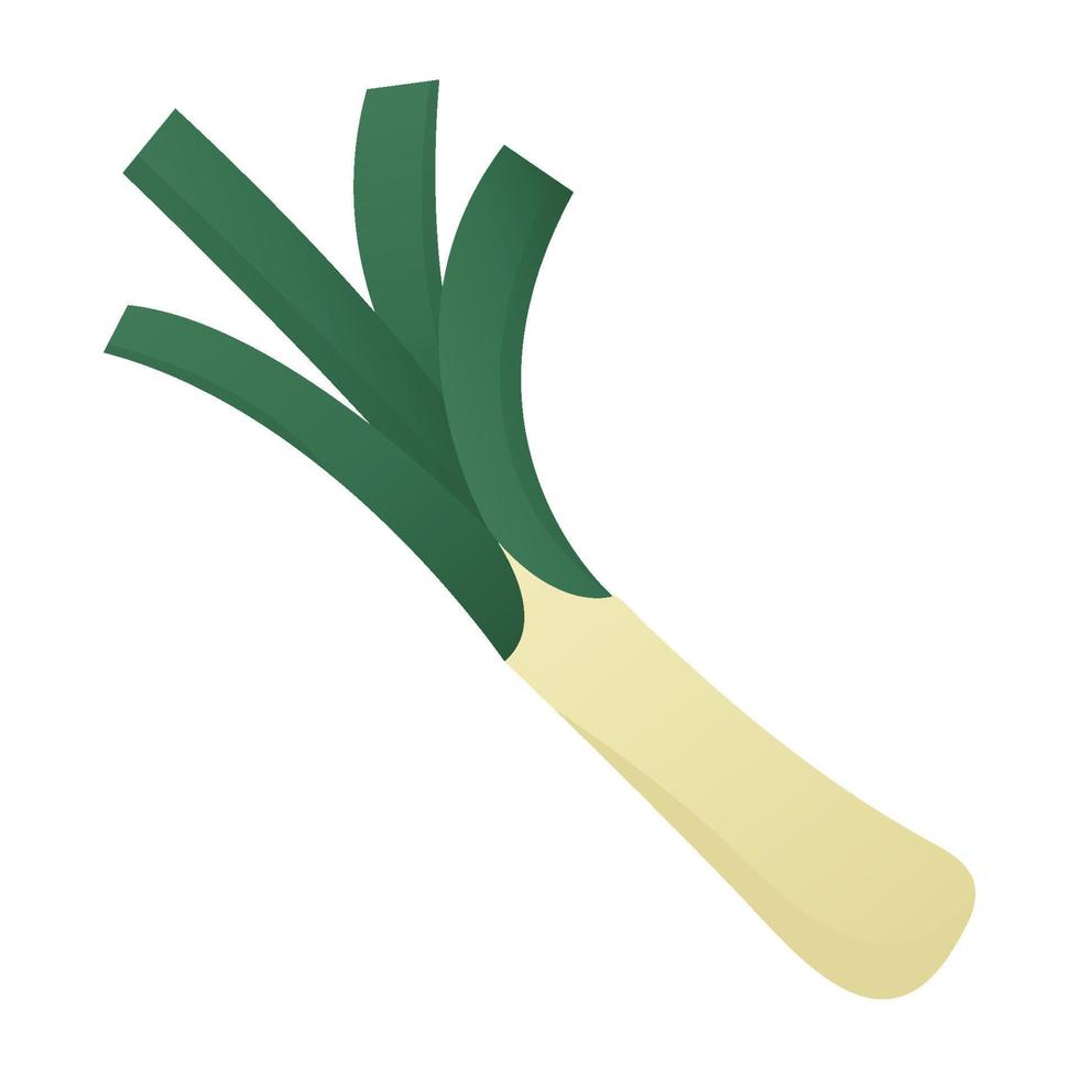 Spring onion vector illustration