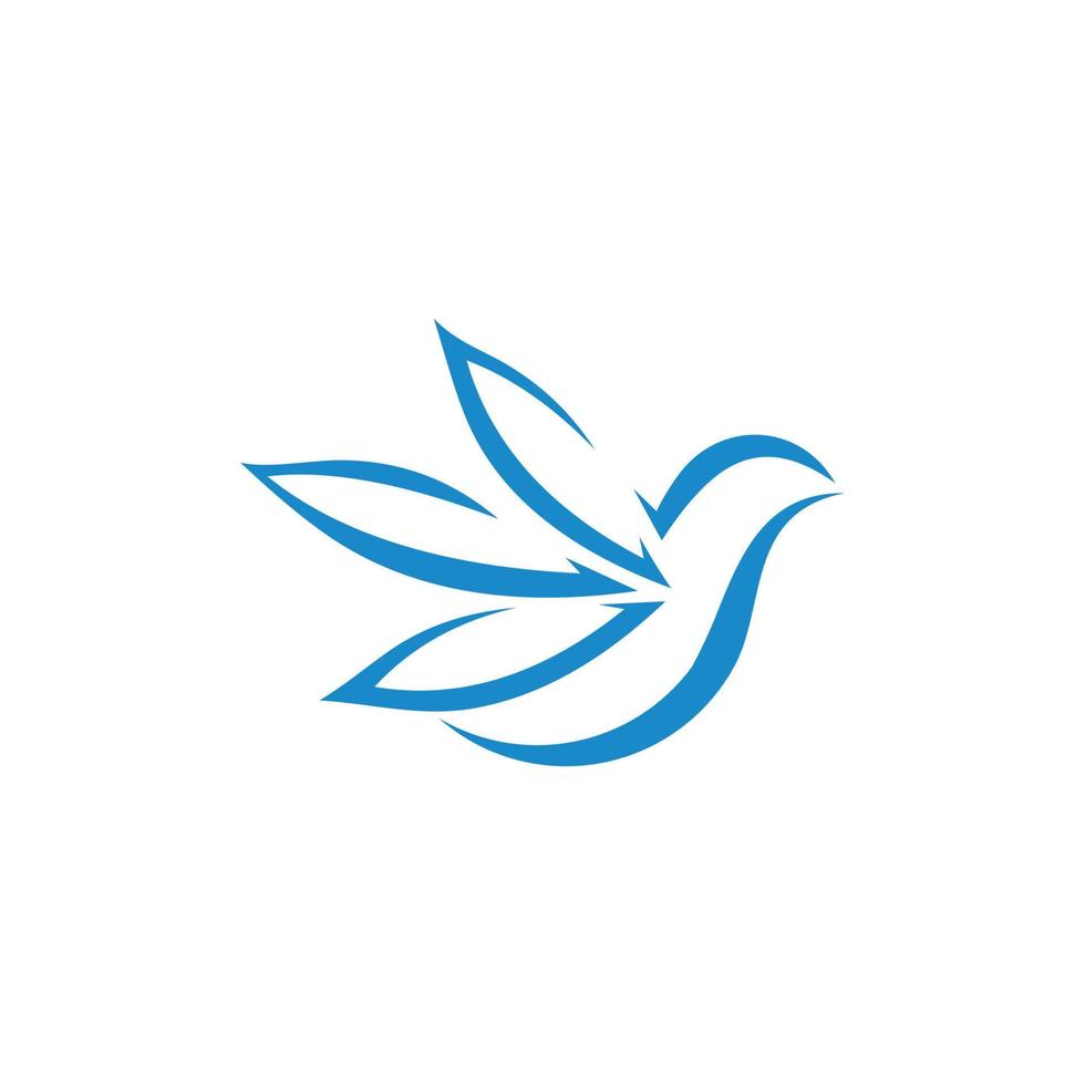 abstract bird logo design vector