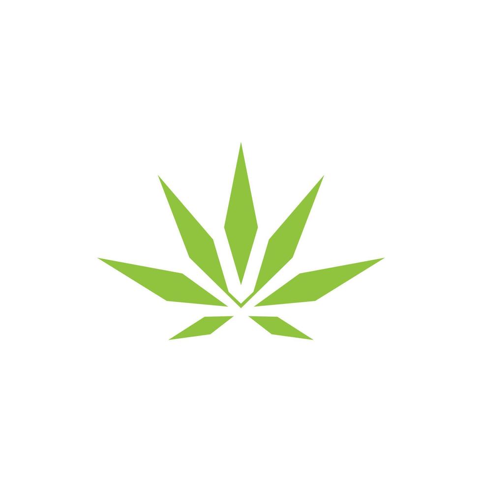 green cassava logo design isolated vector