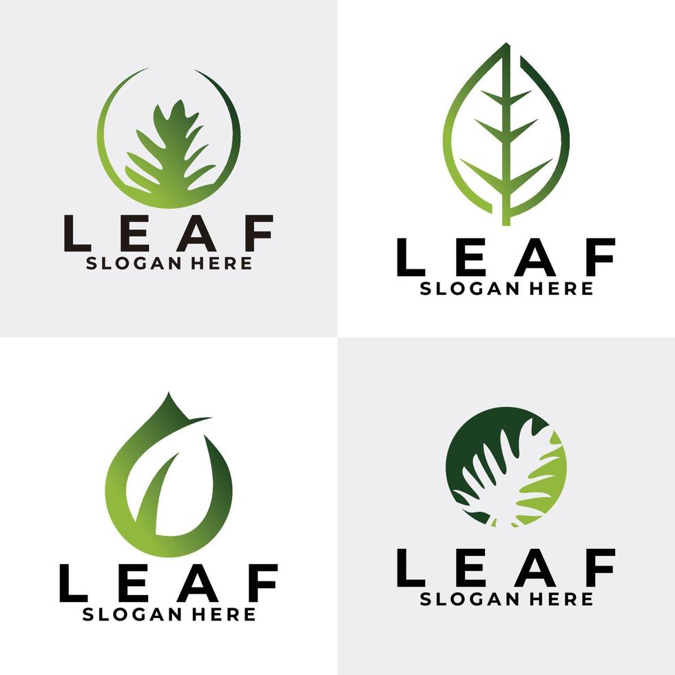 leaf logo set icon vector