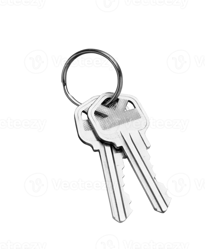 Transparent PNG Pair of New Silver House Keys.