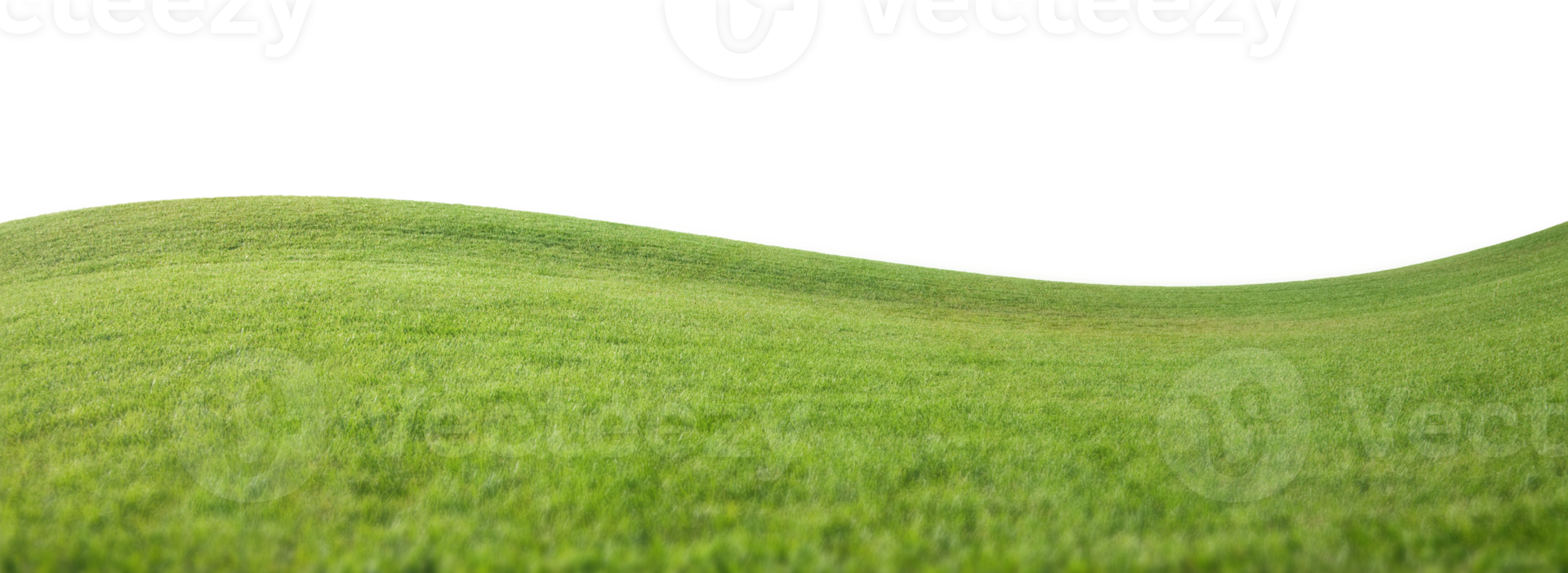 Transparent PNG of Curved Grass Field Horizon.