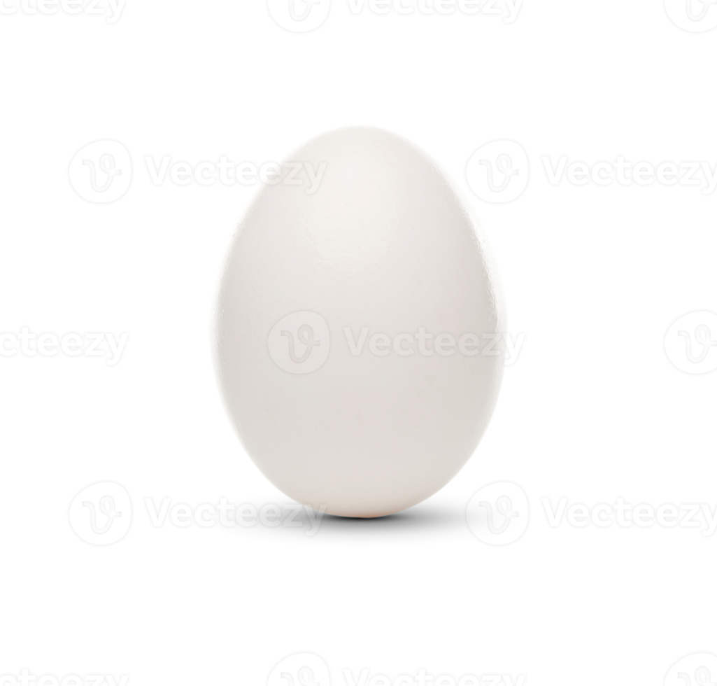 Transparent PNG White Egg Standing.