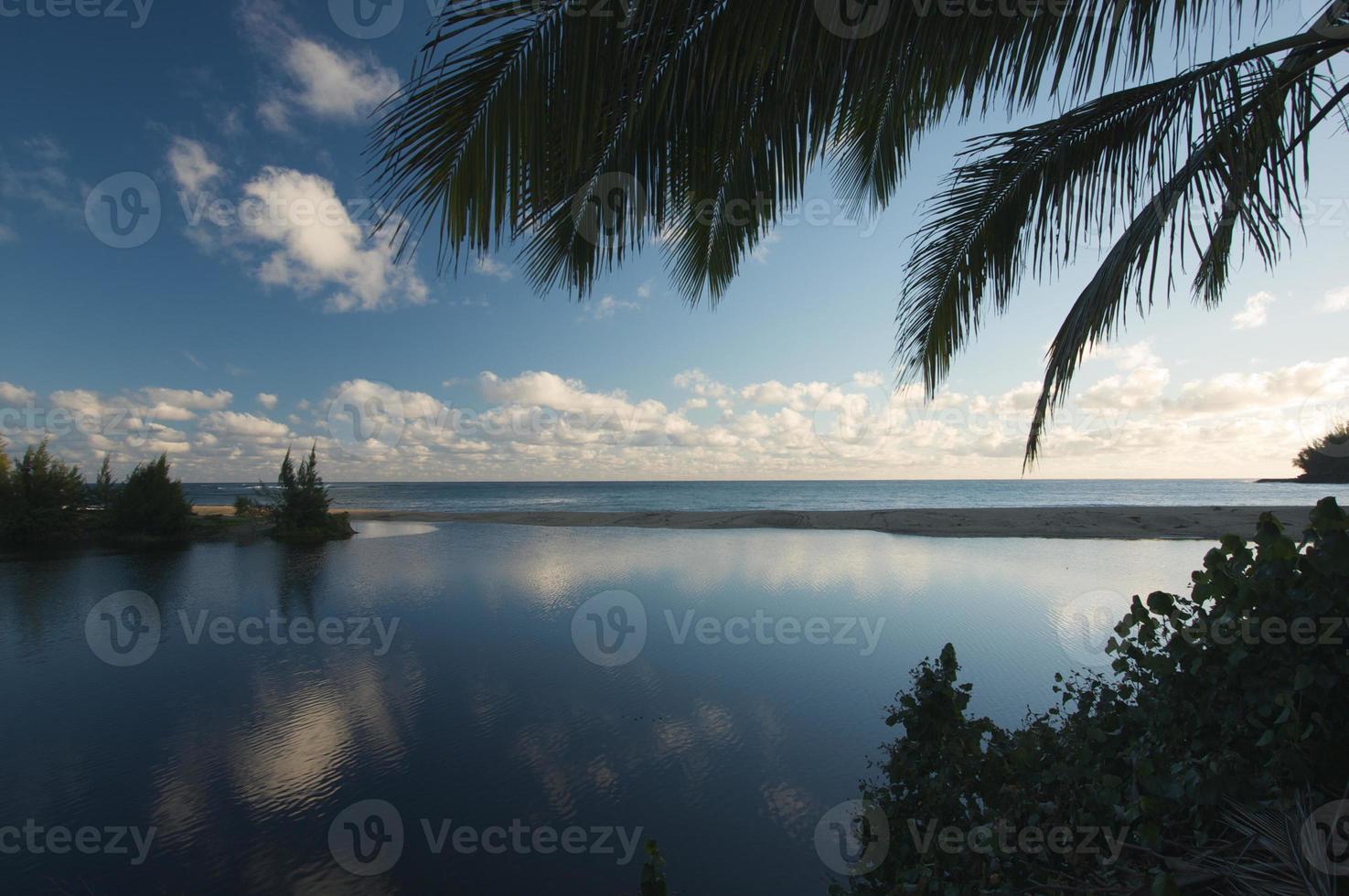 Tropical Sunset with Palm Trees photo