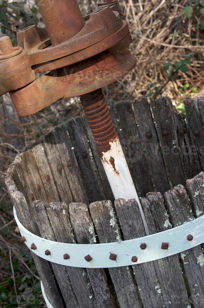 Vinatge Grapes Press photo