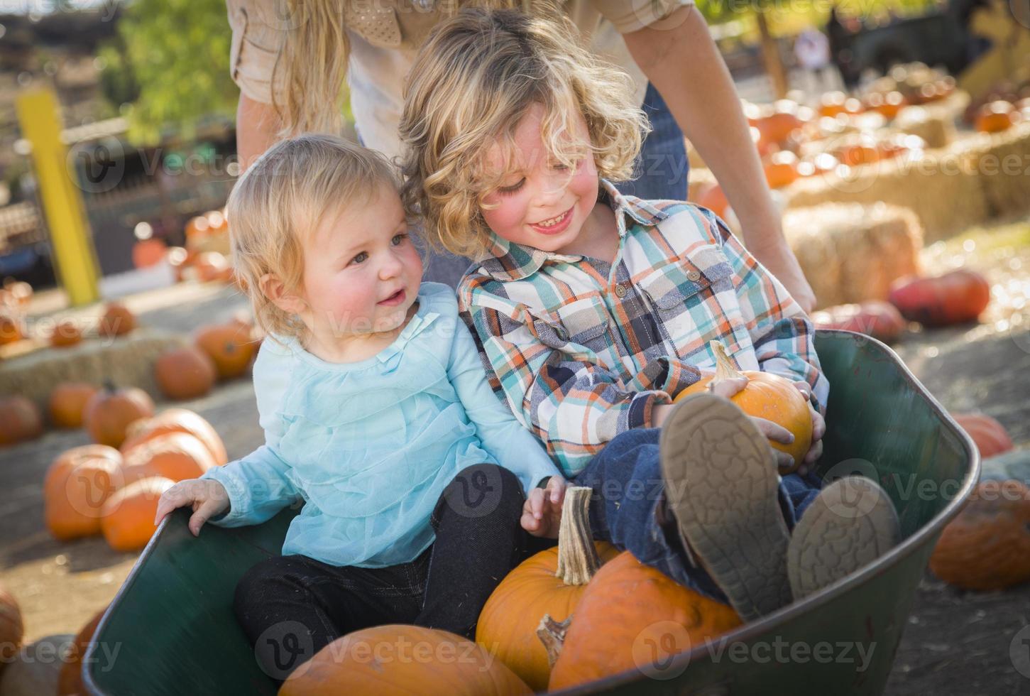 familia joven disfruta de un día en el huerto de calabazas foto