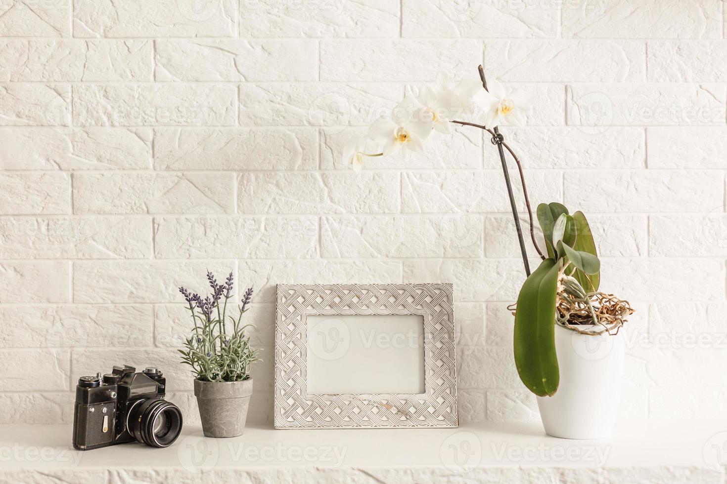 Mock up white frame and aloe vera plant on book shelf or desk. White colors. photo