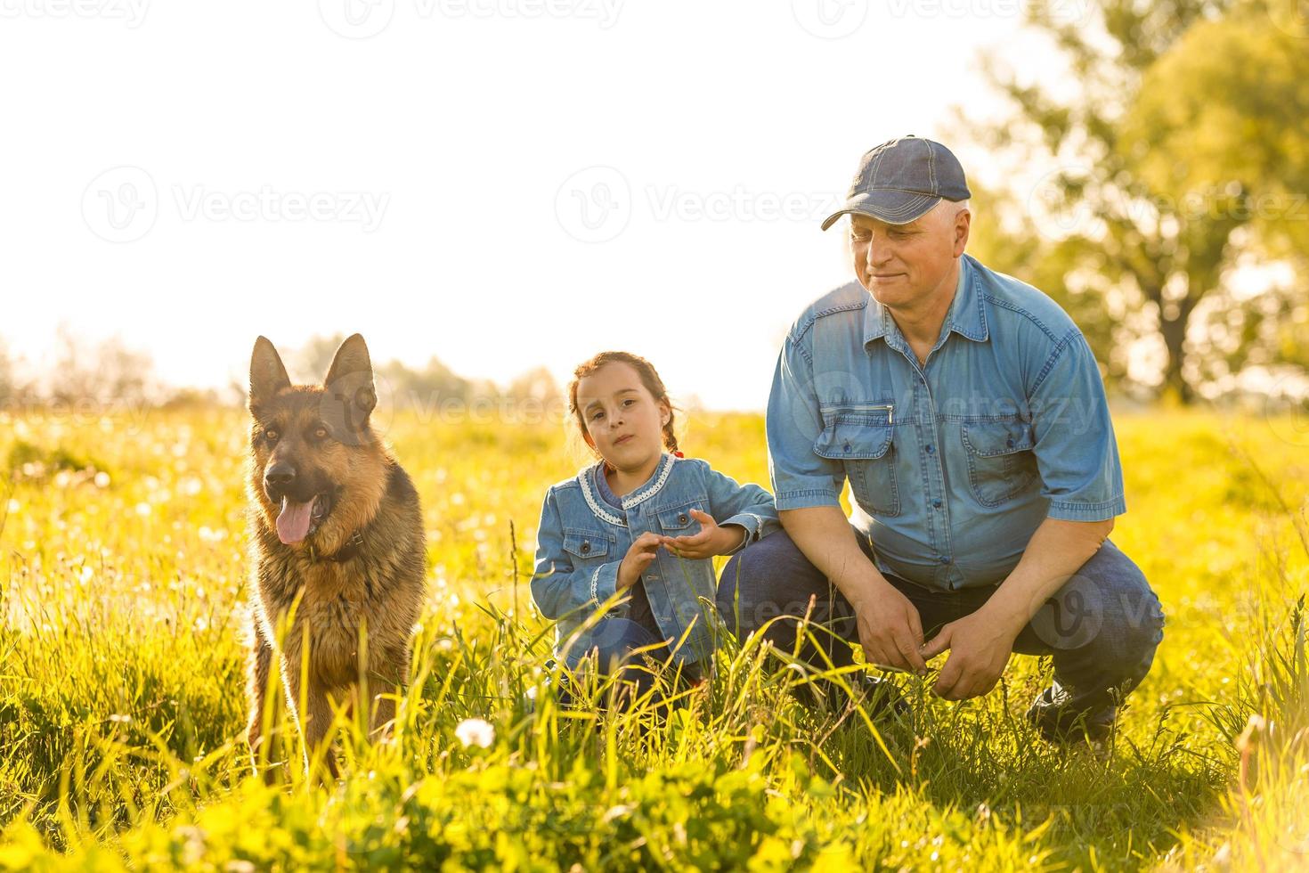 Portrait of a old man with a german shepherd photo