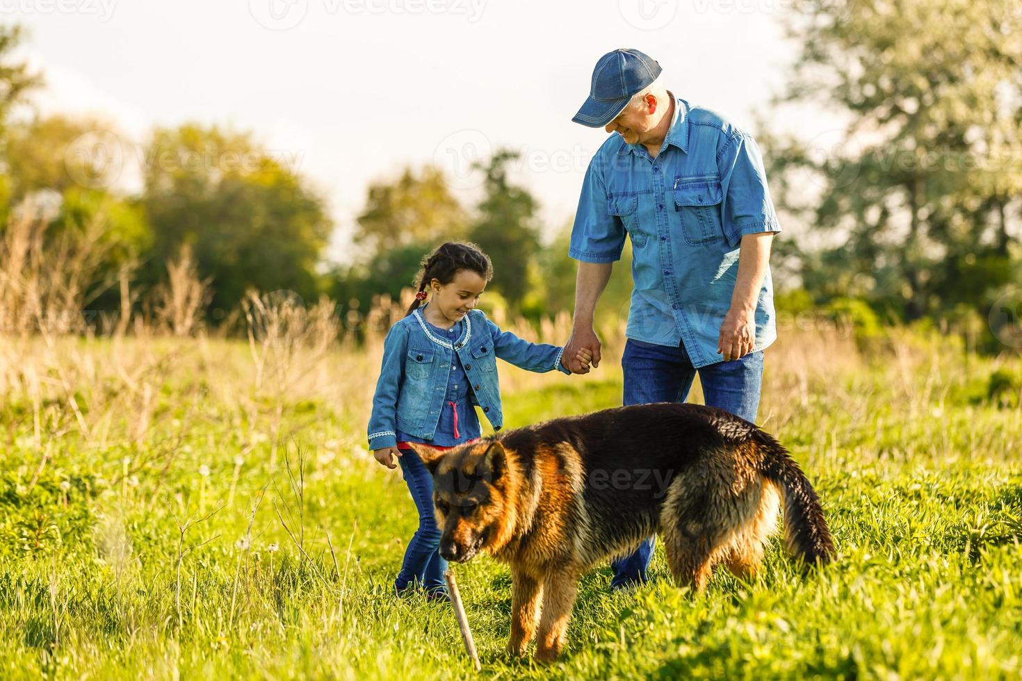 Portrait of a old man with a german shepherd photo