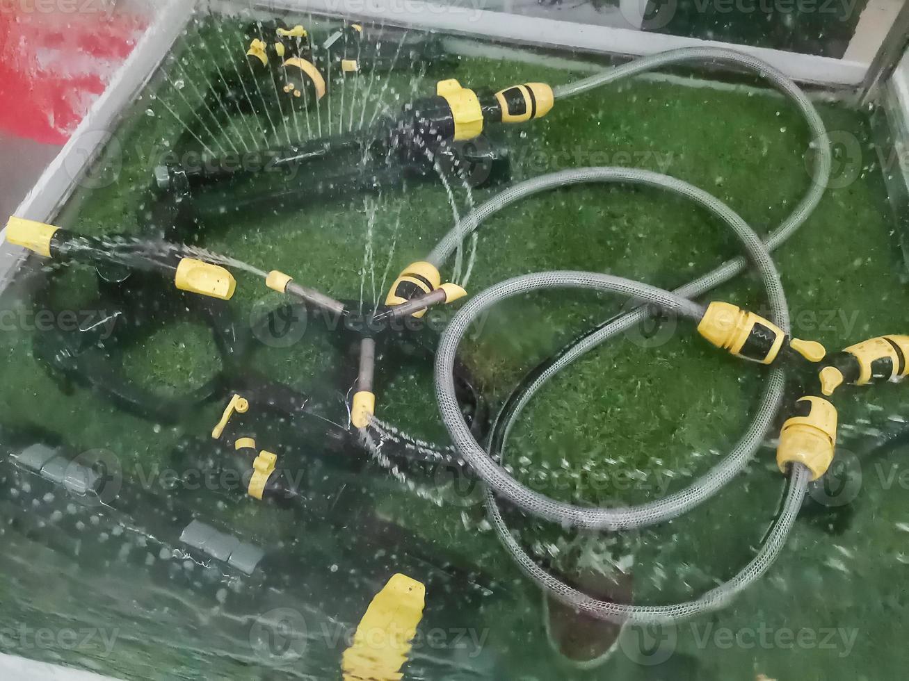 Garden irrigation system watering lawn photo