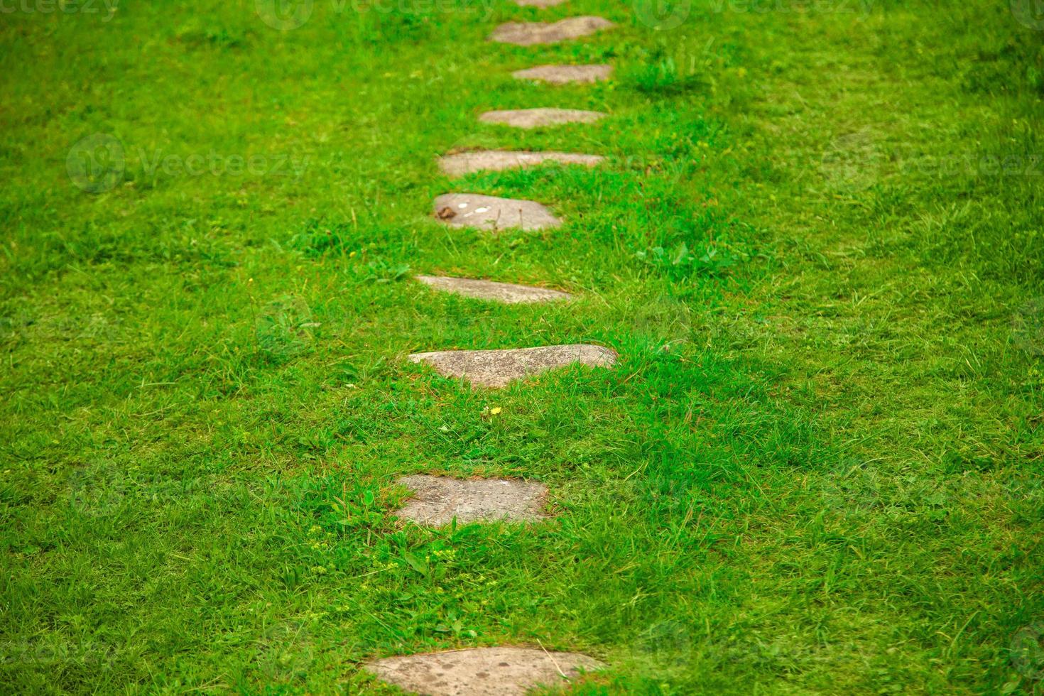 stone path on lawn photo