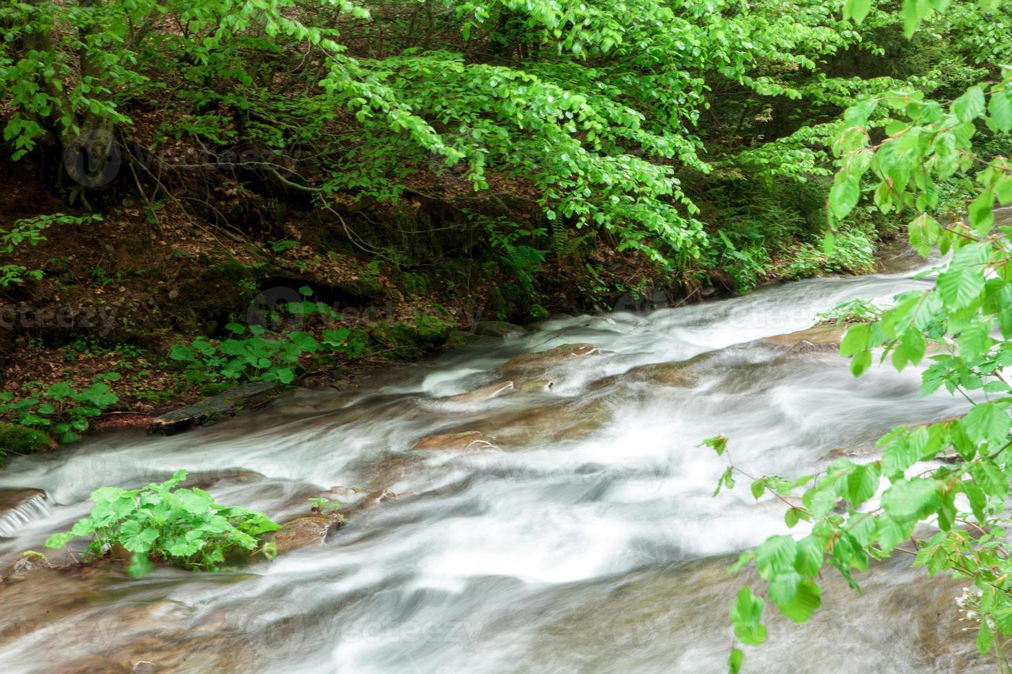 the flow of the turbulent river with rocky bottom in the woods photo