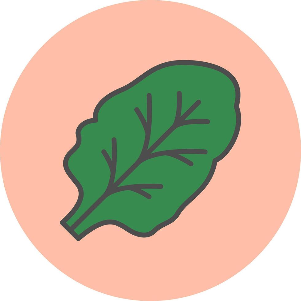 Chard Vector Icon