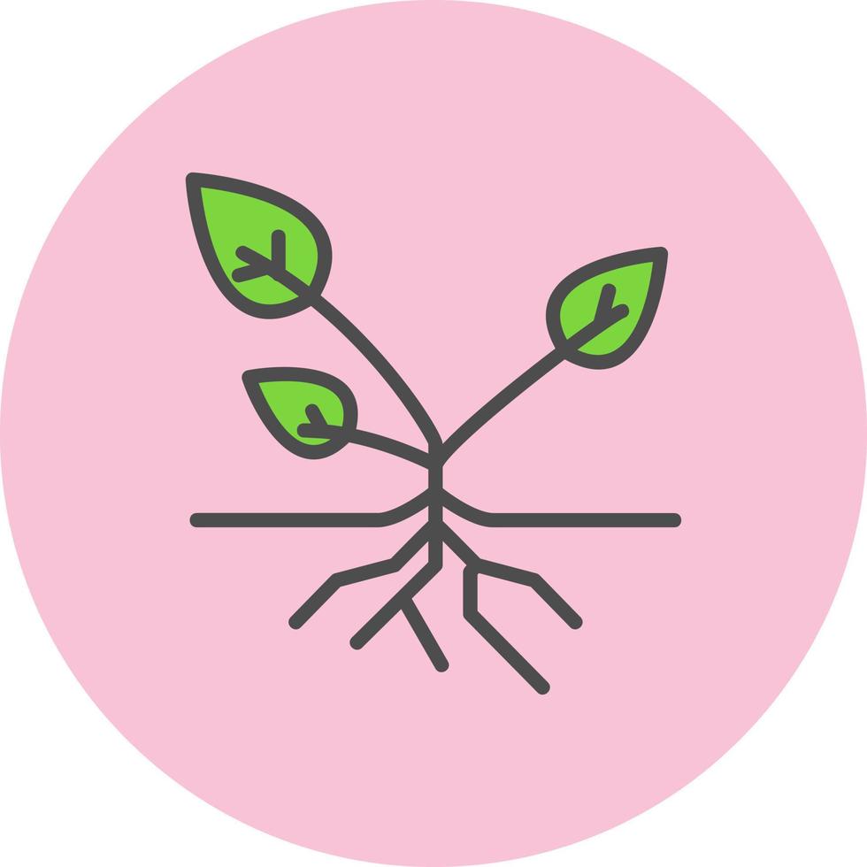 Plant Roots Vector Icon