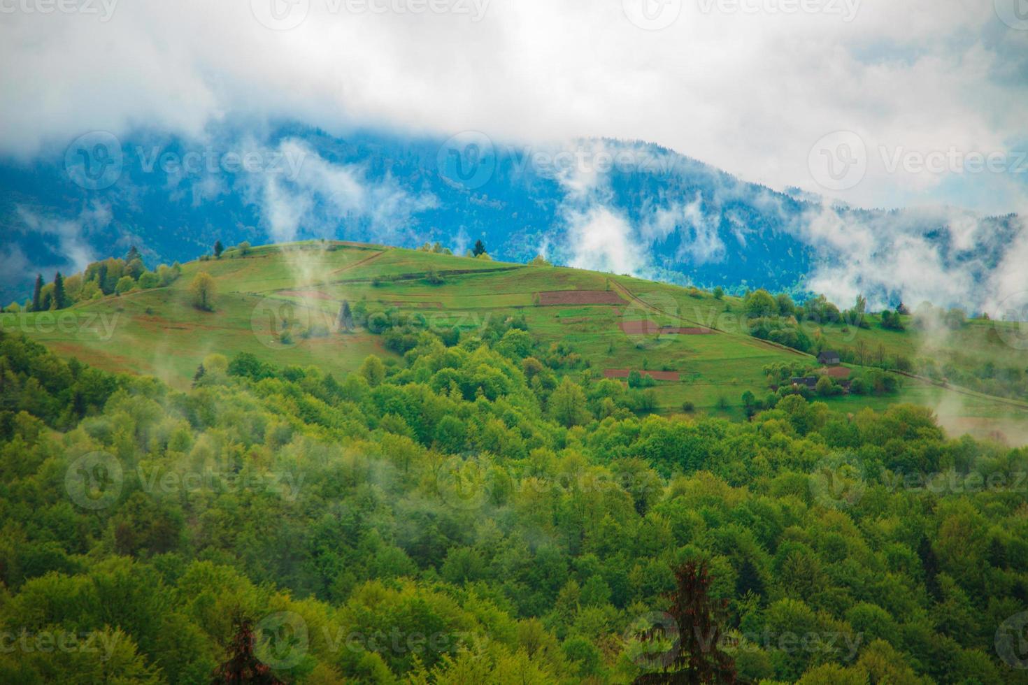 paisaje de montaña con nubes flotando entre los árboles foto