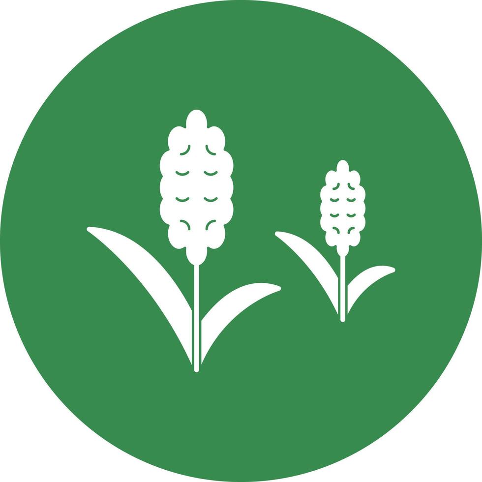 Hyacinth Vector Icon Design