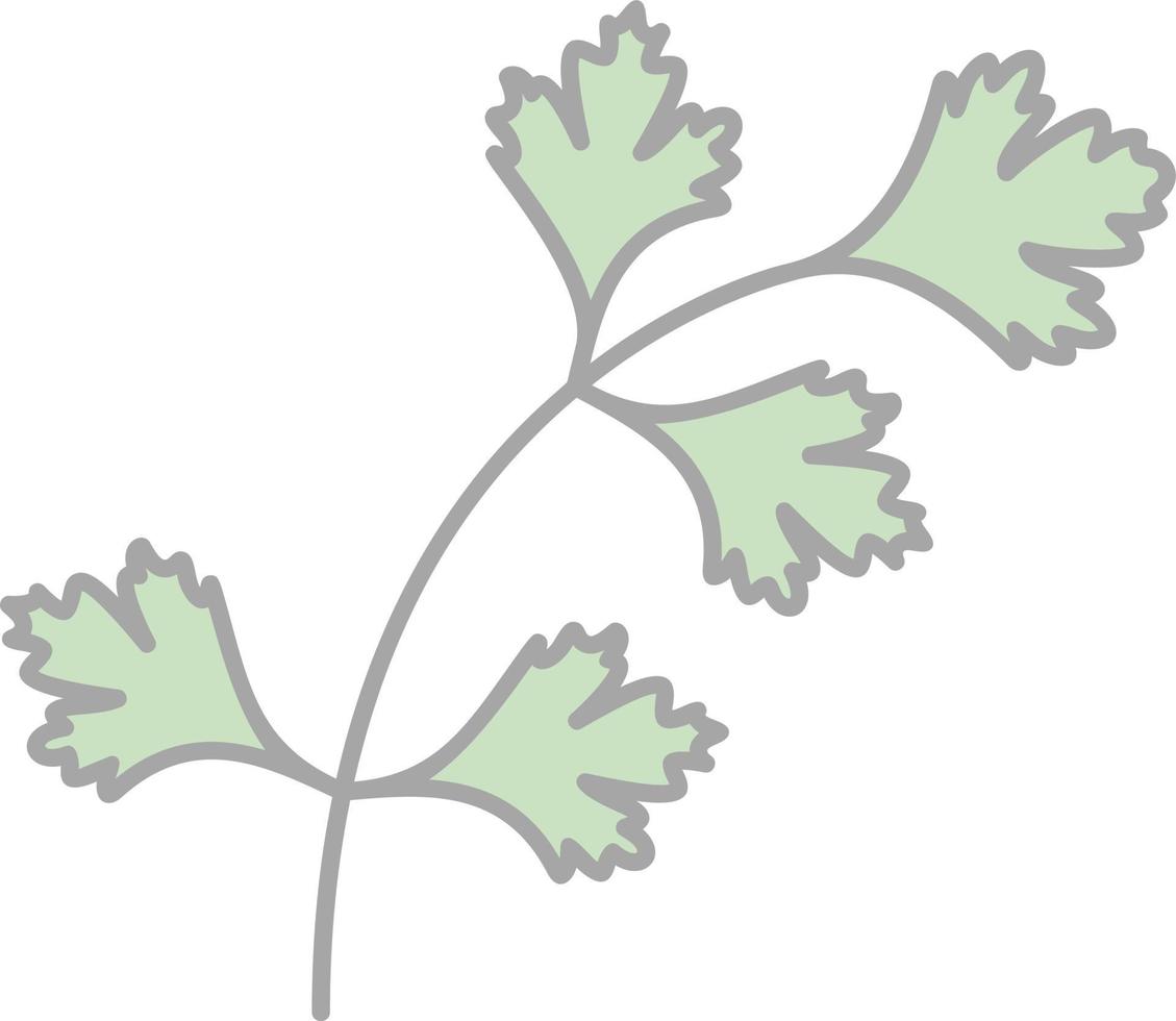 diseño de icono de vector de cilantro