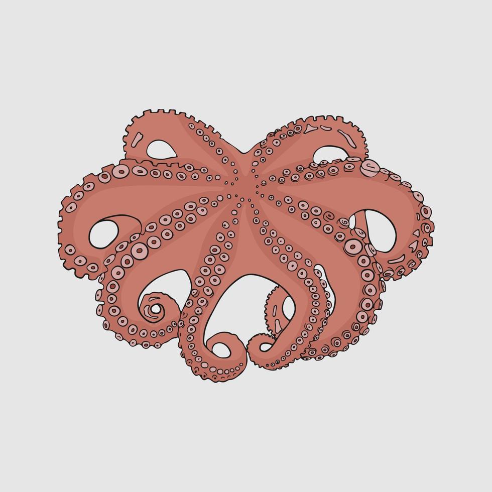 octopus doodles animal vector