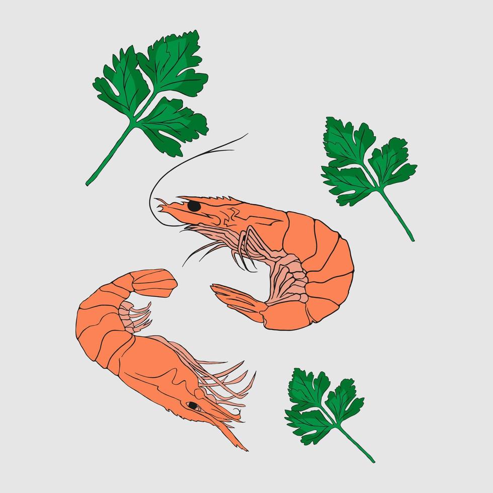 shrimp doodles sea food vector