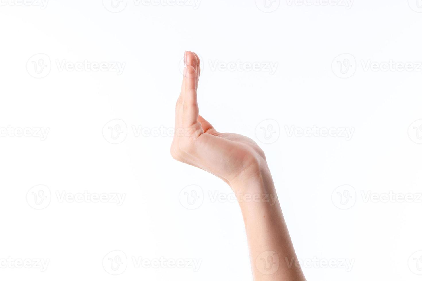 female hand raised up with straight fingers isolated on white background photo