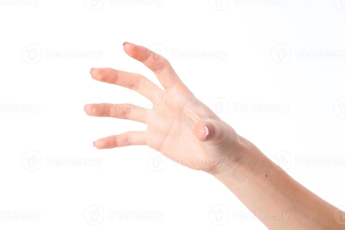 female hand stretched up and showing the gesture with the fingers is isolated on a white background photo