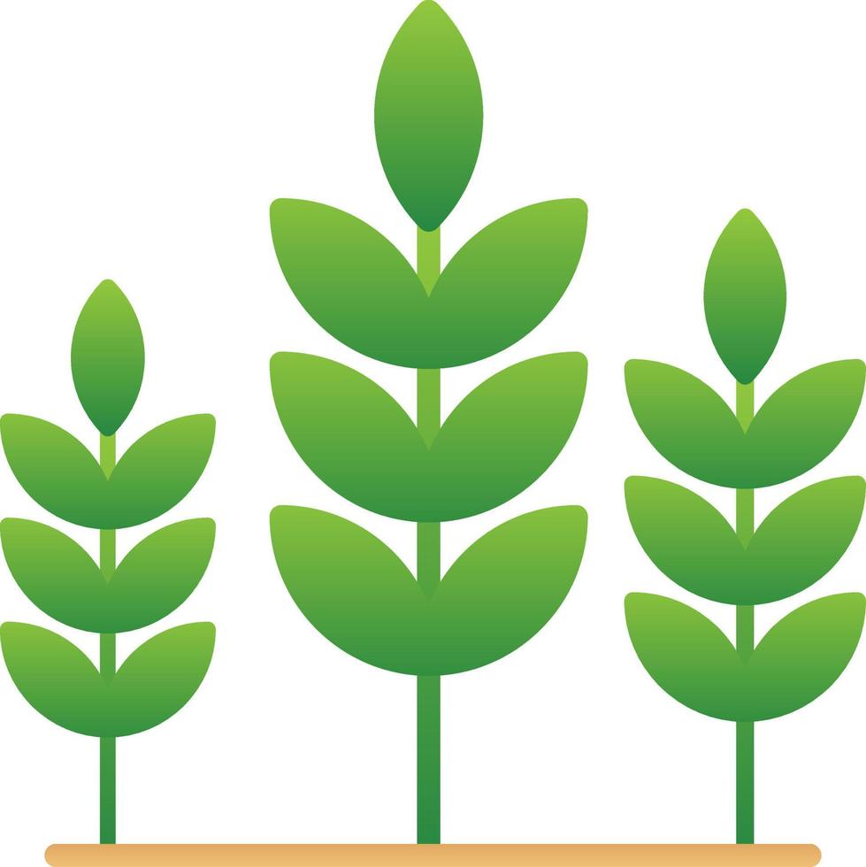 Wheat Vector Icon Design
